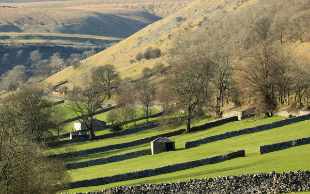 Dale View