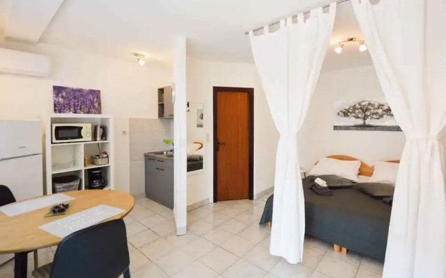 Apartments Pjescana Uvala/istrien 11044