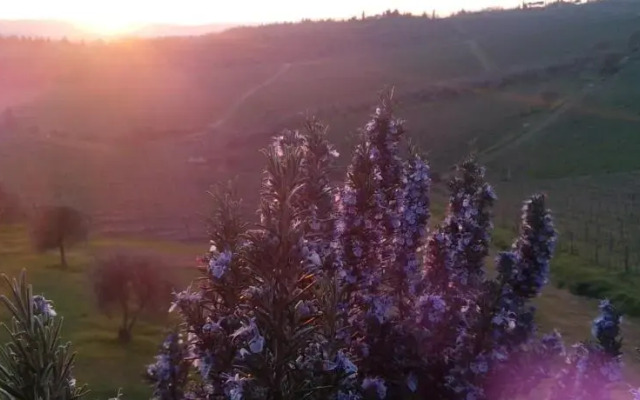 Immersi nella campagna Toscana