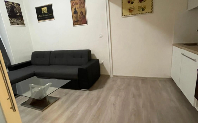 Red&Black Apartment City centr