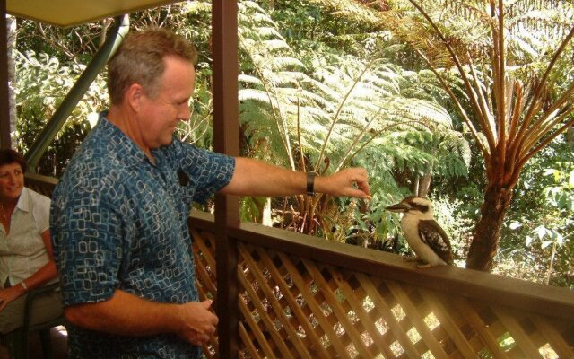 Chambers Wildlife Rainforest Lodges