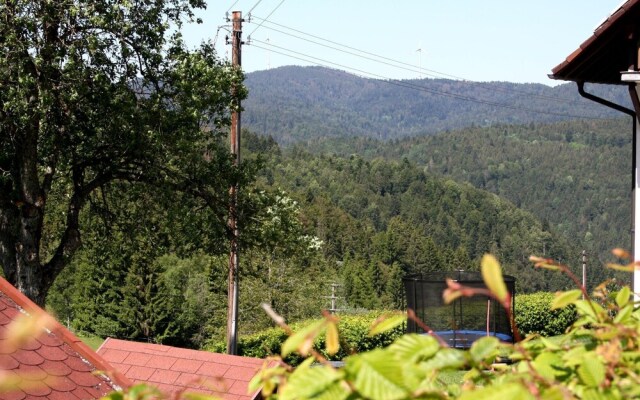 Cozy Farmhouse in Herrischried with Meadows Nearby