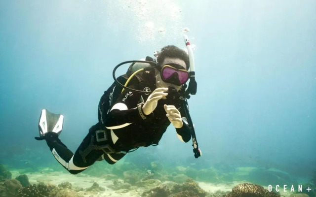 Cardamon Hotel Nilaveli