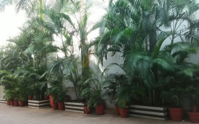 Hotel Basera