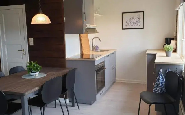 Oppdal Alpintun Stølen ski in - ski out