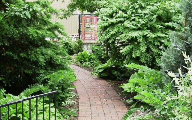Prince of Wales Bed and Breakfast