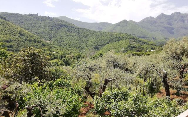 Il Giardino