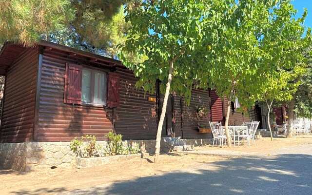 Apollon Camping Delphi