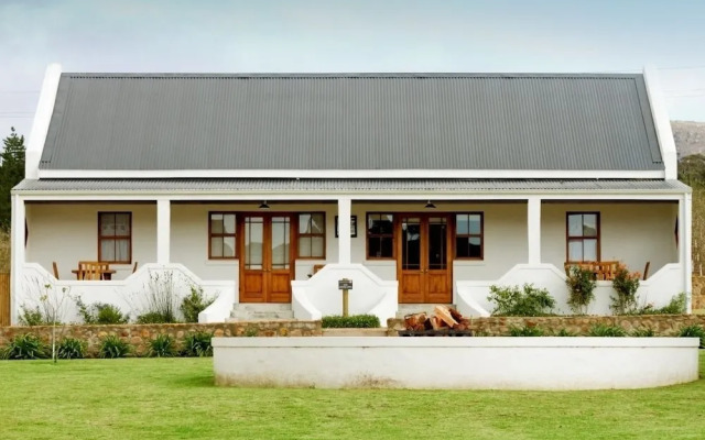 Endless Vineyards at Wildekrans Wine Estate