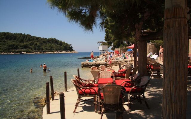 Seaview Apartment in Cavtat Dalmatia With Garden