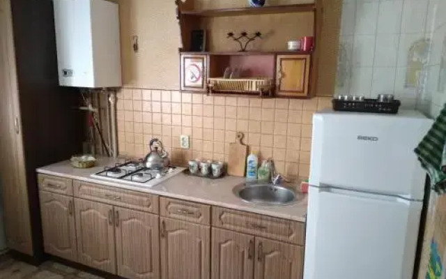 Apartment on Peremohy Street 8