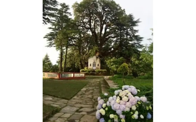 Tree of Life Grand Oak Manor, Binsar Wildlife Sanctuary