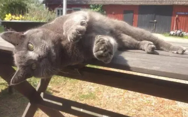 Bed & Balance Skansen