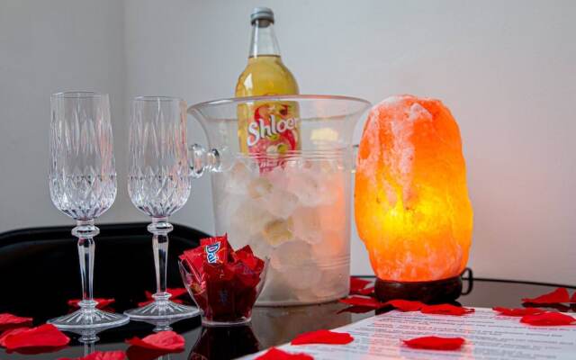 Private Hot Tub, Sauna, Ice Bath Gym Apartment