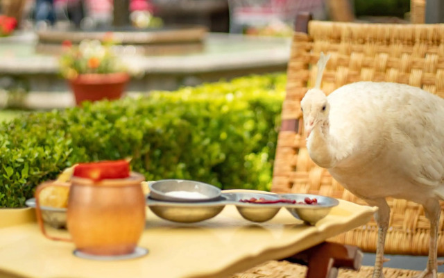 Las Mananitas Hotel Garden Restaurant and Spa