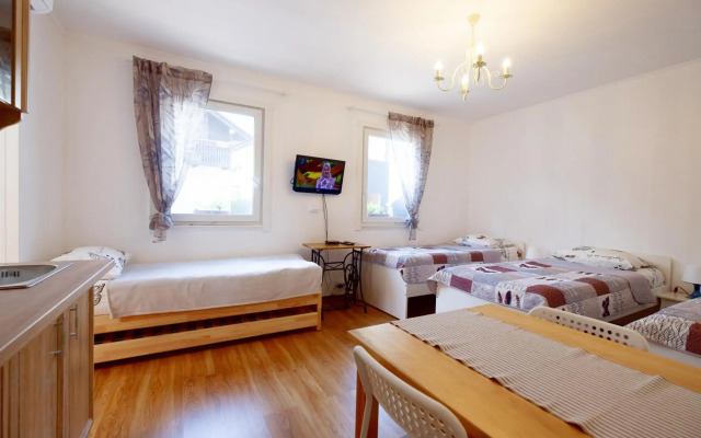 ECO-LUX APART with free bicycles end free parking