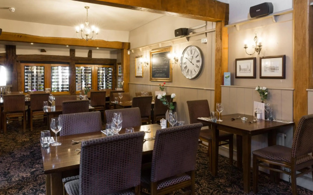 Dog & Bear Hotel