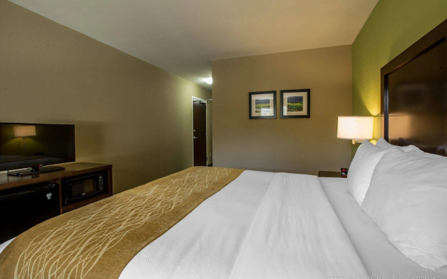 Comfort Inn Sylva - Cullowhee