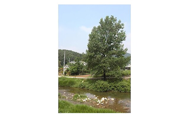 Yangpyeong So Pung Pension
