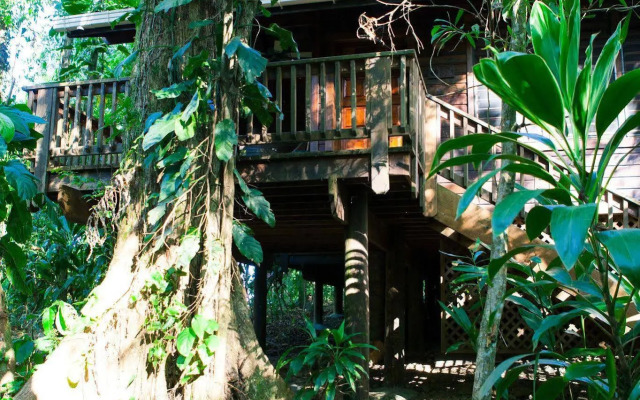 The Lodge at Pico Bonito