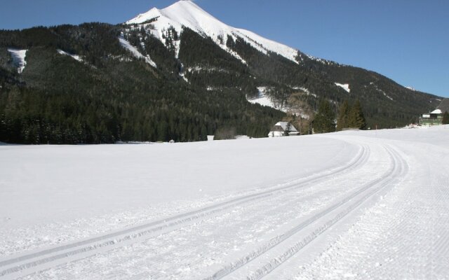 Wooden Chalet in Hohentauern with Sauna near Ski Area