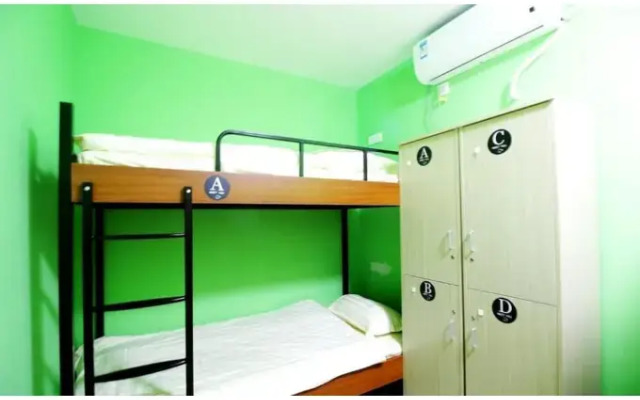 Meet Fish International Youth Hostel