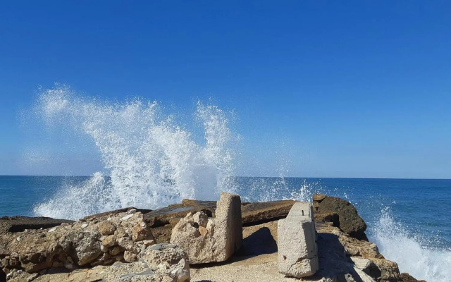 Etis garden seafront