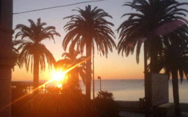 gli ulivi di montalbano 1