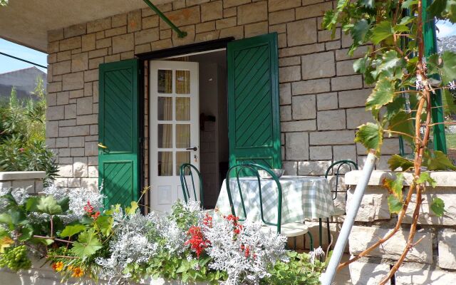 Apartment Brane - 150m from sea: A1 Bol, Island Brac