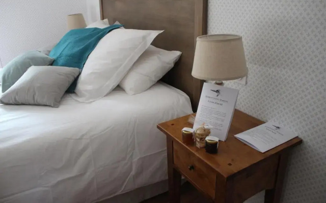 Orangerie Saint Martin