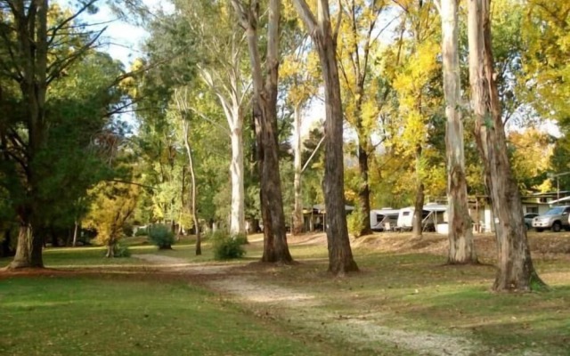 Mt Buffalo Caravan Park