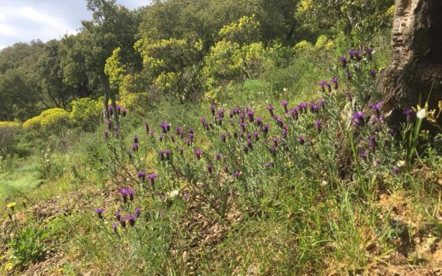 AppartArbus white suite