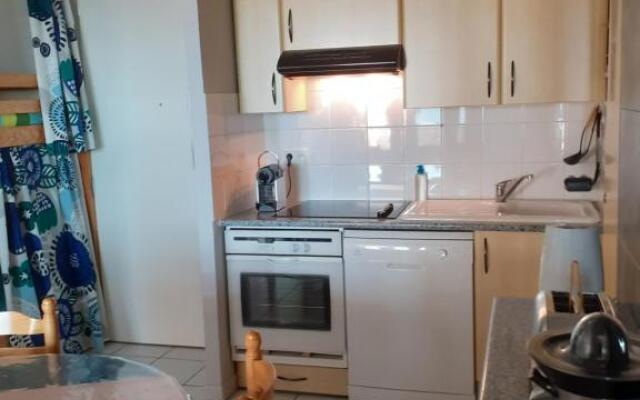 Les Goélands de l'Océan