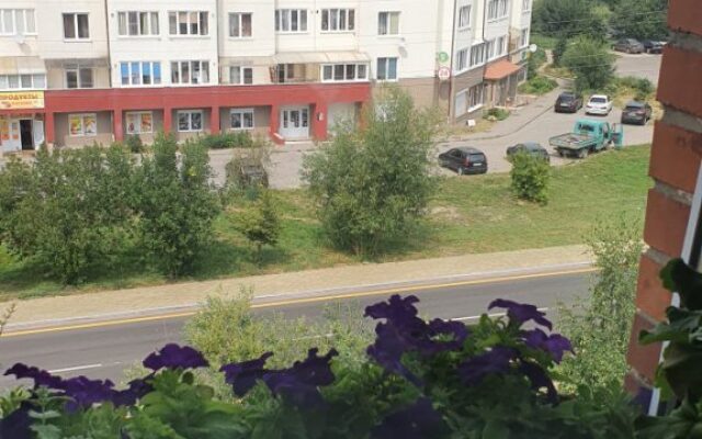 Apartamenty na Okruzhnoj 1/70