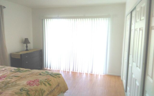 Tropical Dreams - Sarasota Condos Near Siesta Key