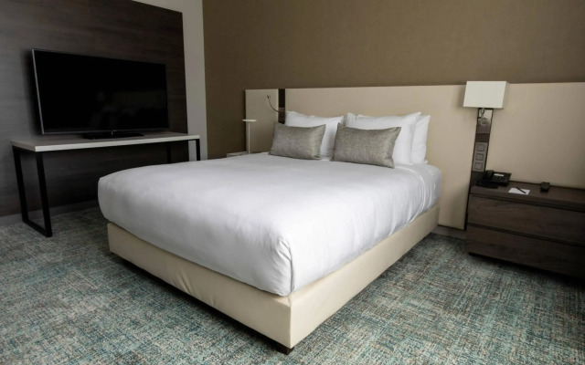 Residence Inn by Marriott Toulouse-Blagnac