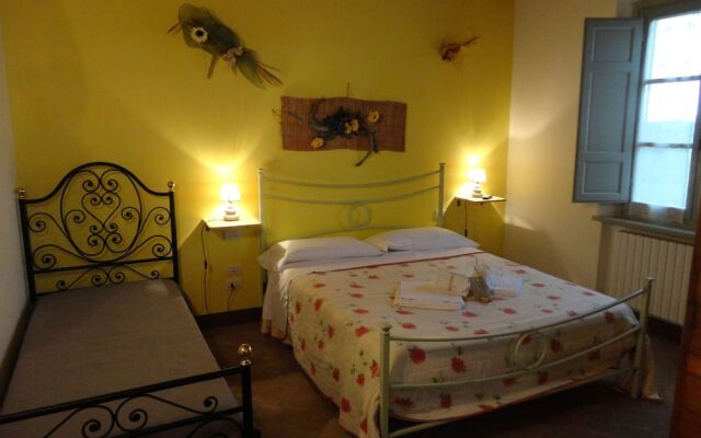 Agriturismo LOlmo