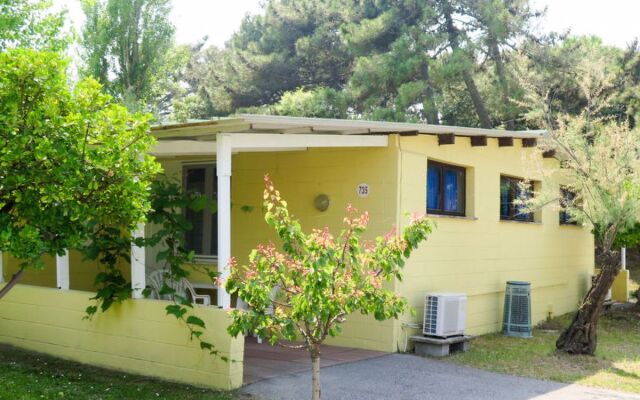 Rosapineta Sud (ROM217)