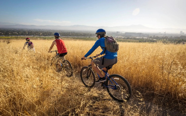 Staybridge Suites Irvine-John Wayne Airport by IHG