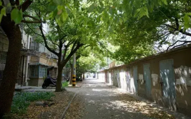 Long-term Homestay