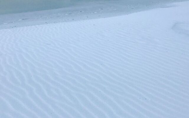 Misty Cove #116434 by RedAwning