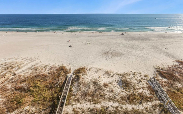 Palms 915- Premier Beachfront Condo