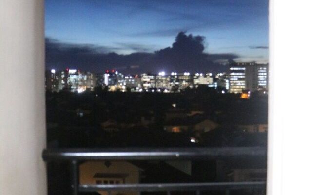 Nexstay Blueberry