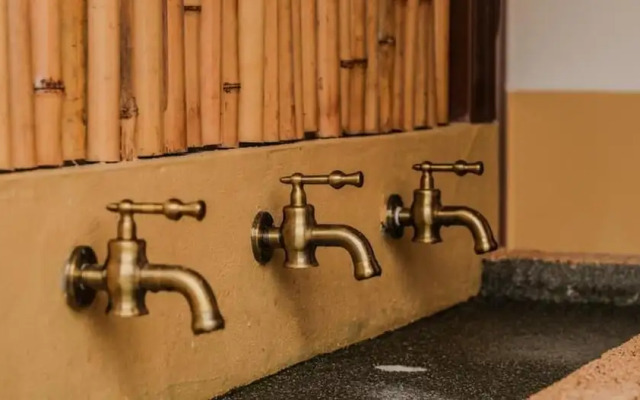 Zen By Stellar Cameron