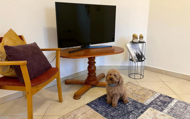 Booklovers apartment close to center