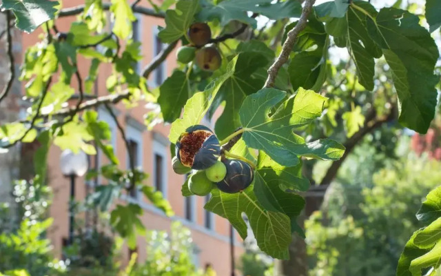 Relais Corte Rodeschi