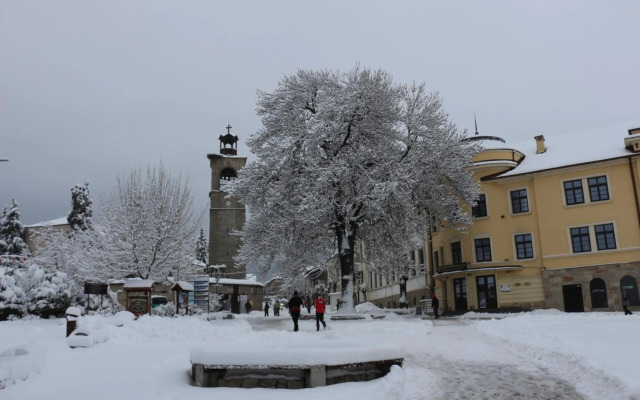 Hotel Alpin - 91 Bansko