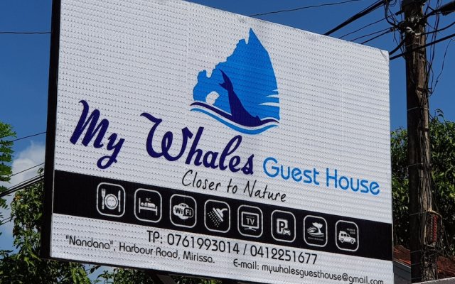My Whales Guest House
