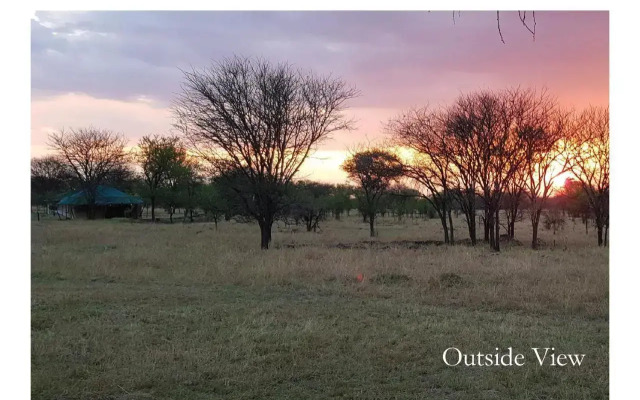 Ole Serai Luxury Camps - Kogatende