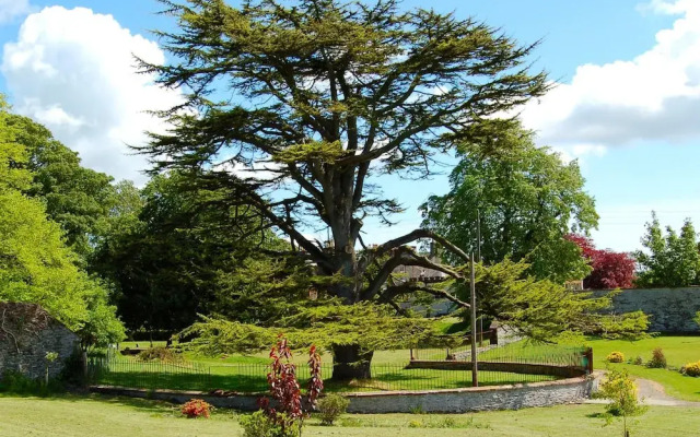 The Urr Valley Country House Hotel